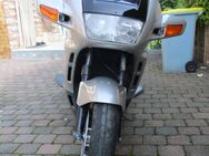 Honda Pan Europen ST1100 - Dermbach