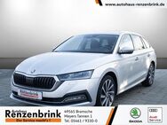 Skoda Octavia, 1.4 TSI Combi iV Style, Jahr 2021 - Bramsche