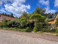 Sanierungsobjekt mit Herz: Bungalow mit 2 SZ sowie einem Garten, Wintergarten & Carport in Düshorn - Walsrode