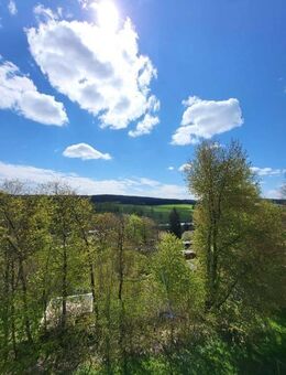Gemütliches Nest - Markneukirchen