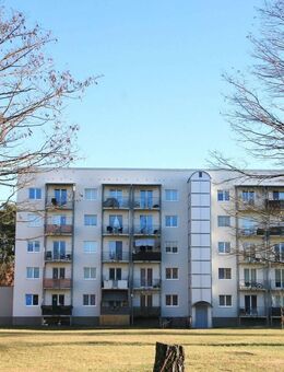 Waldesruh - renovierte 2-Zimmerwohnung im Grünen - Zossen