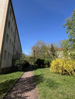 Einziehen und Wohlfühlen - Merseburg
