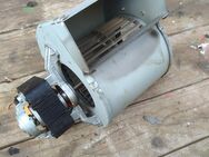 220 Volt Lüfter Motor - Büdingen