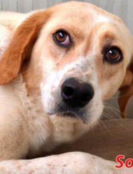 SOLE - wann scheint endlich ihre Sonne? - Regensburg