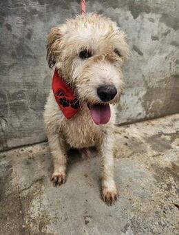 Verschmuster Freddy - Eichenzell