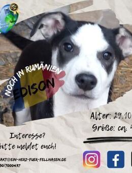 EDISON - möchte DEIN Pluspol sein - Waakirchen
