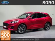 Ford Kuga, 2.5 ST-Line X, Jahr 2024 - Fulda