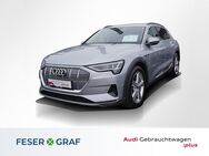 Audi e-tron, bel Mass Tour Stadt °, Jahr 2022 - Lauf (Pegnitz)