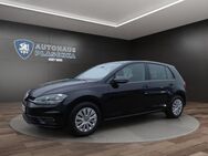 VW Golf, 1.6 TDI VII, Jahr 2019 - Amelinghausen