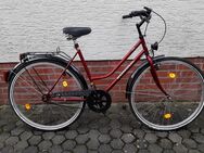 Fahrrad Damenfahrrad - Bielefeld