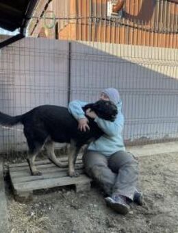 Shadow - ein wahrer Lebensgefährte - Idstein