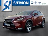 Lexus NX 200, t AWD Luxury Line El, Jahr 2017 - Salzbergen