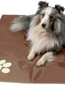 Dobar Kühlmatte für Hunde Hundekühlmatte braun #60421 in 75217