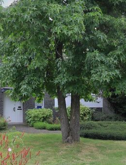 Bungalow - Düsseldorf