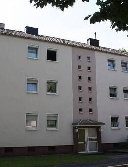 Gute Laune kann man jetzt mieten! VIVAWEST - Oer-Erkenschwick