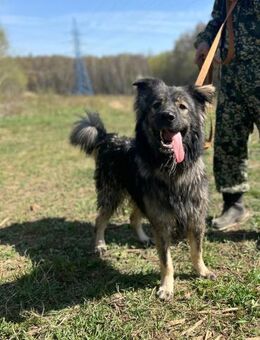 russische Schönheit namens Fenya - Augsburg