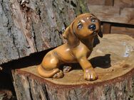 Porzellan Figur Nr. 30 032 16 "Hund Dackel Welpe" / Figur von Goebel - Zeuthen