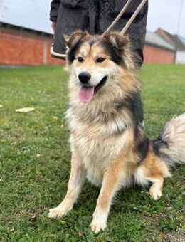 Cooler Boki - Ellerbek