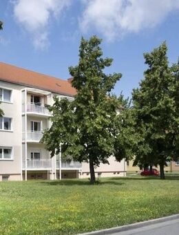 Schön hier...2 Kaltmieten Erlass - Halberstadt