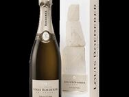 TOP LOUIS ROEDERER COLLECTION 244 CHAMPAGNER NEU IN OVP! - Vaihingen (Enz) Zentrum