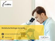 Molekularbiologe (m/w/d) - Marburg