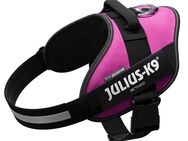 Julius-K9 IDC Powergeschirr, dunkelpink - Größe L: Brustumfang 63 - 85 cm