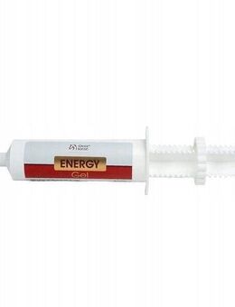 Over Horse Energy Gelpaste für Pferde 100 ml Set24252 - Ingolstadt