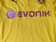 BVB Trikot zu verkaufen - Eitelborn