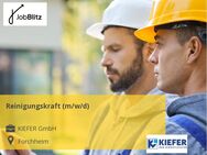 Reinigungskraft (m/w/d) - Forchheim (Bayern)