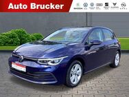 VW Golf VIII Life 2.0 TDI+Alufelgen+Navi+Klimaautomatik - Marktredwitz