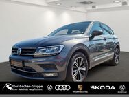 VW Tiguan Highline 1,5 TSI DSG Navi AHK - Germersheim