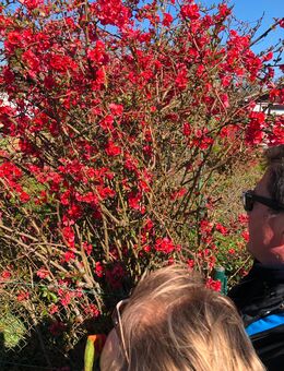 Reisepartnerin (v. a. für Werktags-Trips und -Reisen) gesucht - Mannheim