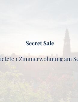 1 Zimmerwohnung in guter Lage am Seepark - Freiburg (Breisgau)