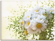 Artland Wandbild Gänseblümchen und Hofstaat, Blumen (1 St), als Leinwandbild, Poster, Wandaufkleber in verschied. Größen