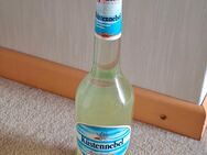 Behn Küstennebel alte Flasche - Ratingen