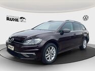 VW Golf Variant, 1.4 TSI Golf VII Highline, Jahr 2017 - Dinklage