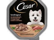 Megapack Cesar Schale 28 x 150 g - Landragout mit Truthahn, Rind und Kräutern