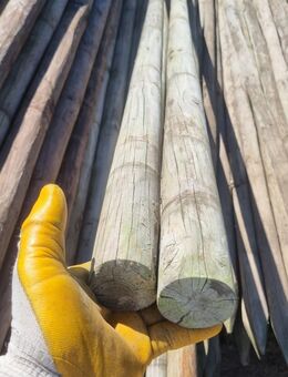 Holzpfahl / Holzpfähle / Weidezaun / Pferdezaun / Zaunpfähle - Hollern-Twielenfleth