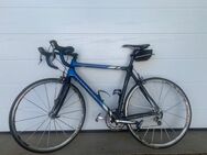 Rennrad Marke Storck - Regensburg