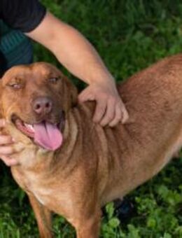 ELLI - Kekse haschen ist 'ne tolle Sache - Overath