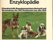 Die große Hunde Enzyklopädie - Berlin