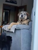 Mausi wartet auf ihren Herzensmenschen in 17389