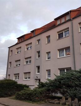 4R-Wohnung in ruhiger Wohnlage von Belgern - Belgern-Schildau