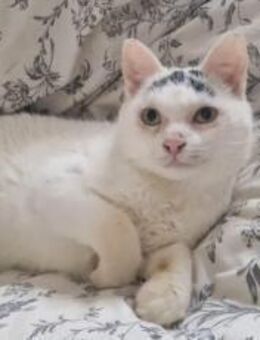 Suzette wartet sehnsüchtig - München