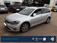 VW Golf Variant, 1.5 TSI Golf VII Highline STNDHZG, Jahr 2019 - Fürstenwalde (Spree)