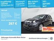 VW Golf, 2.0 TDI VIII Life, Jahr 2024 - Mannheim