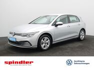 VW Golf, 2.0 TDI VIII Life, Jahr 2023 - Würzburg