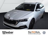 Skoda Octavia, 1.5 TSI Combi Ambition V, Jahr 2024 - Calw