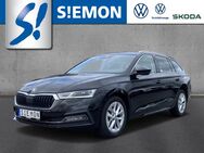 Skoda Octavia, 2.0 TDI Combi FirstEdition RKam, Jahr 2020 - Lengerich (Nordrhein-Westfalen)