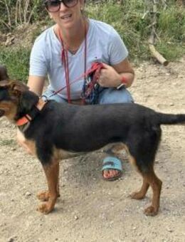 Palco möchte viel erleben - Nordwalde